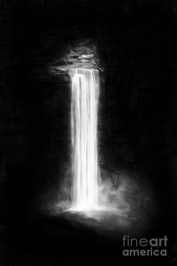 Luminous Waters II Photograph by Michele Steffey