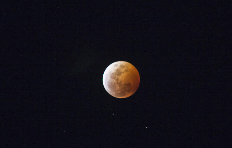 Luna Eclipse Photograph by Debbie Cundy