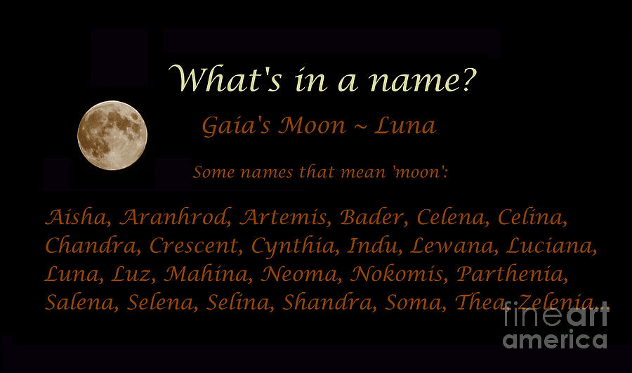 Luna - Moon - Whats in a name Photograph by Barbara A Griffin