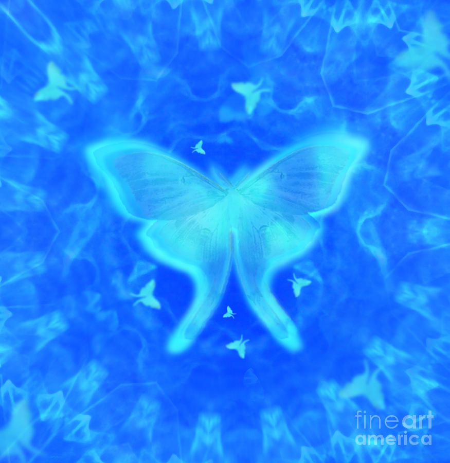 Luna Moth Blue Digital Art by Deborah Smith