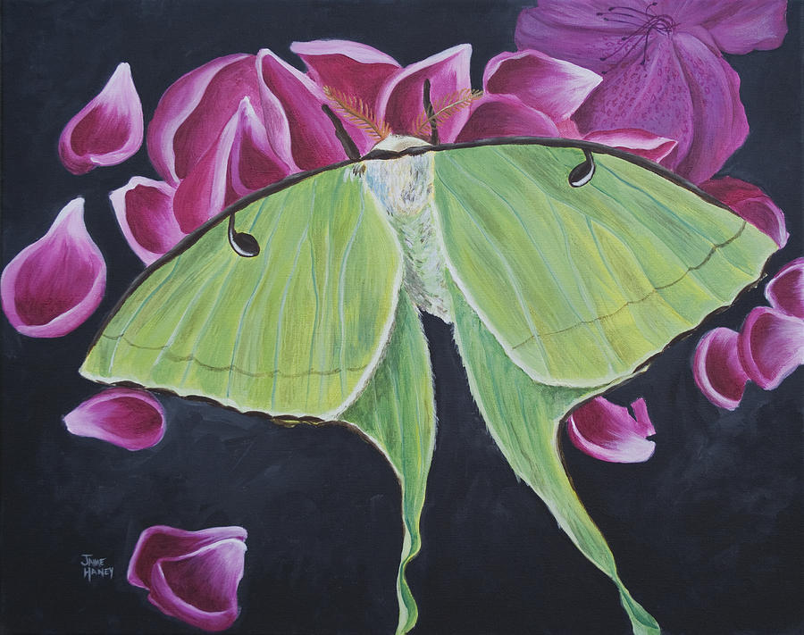 Luna Moth Painting by Jaime Haney