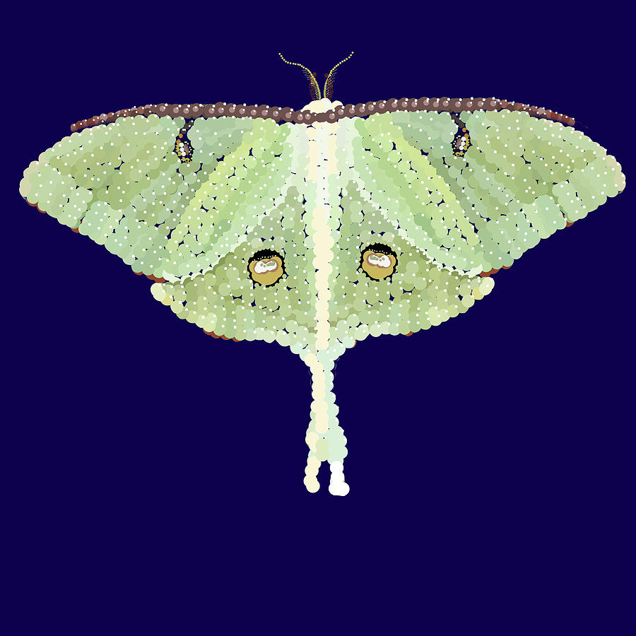 Luna Moth Pixel Pointillized  Digital Art by R  Allen Swezey