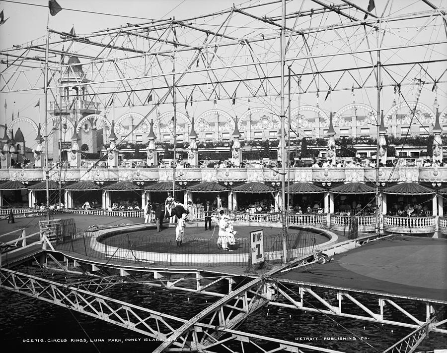 Luna Park, Circus, C1900 Photograph by Granger