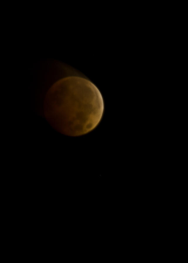 Lunar Blood Photograph by Michael Nowotny