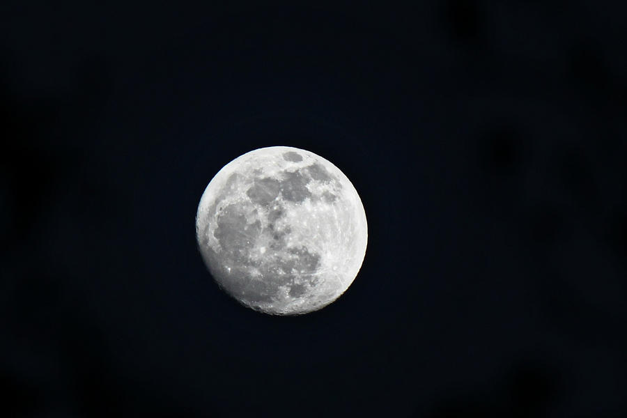 Lunar Craters Photograph