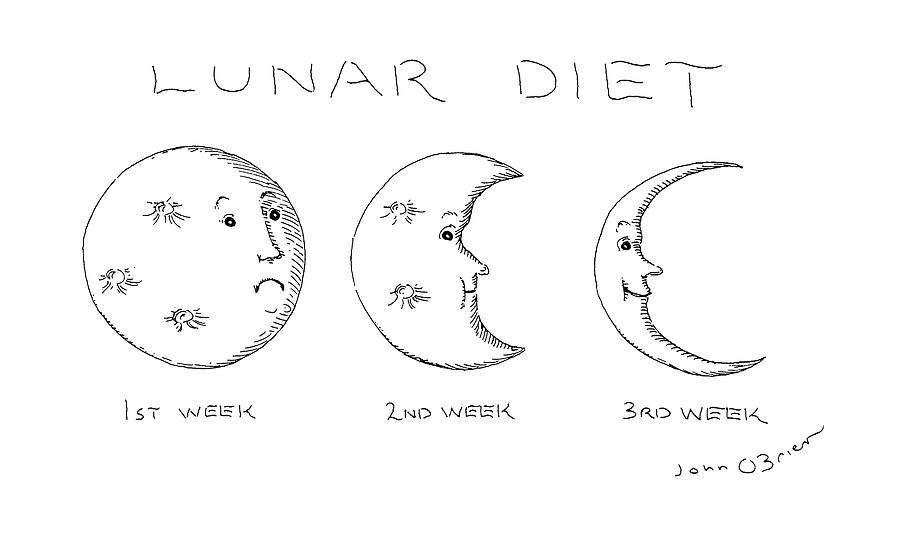 Lunar Diet Drawing by John O'Brien