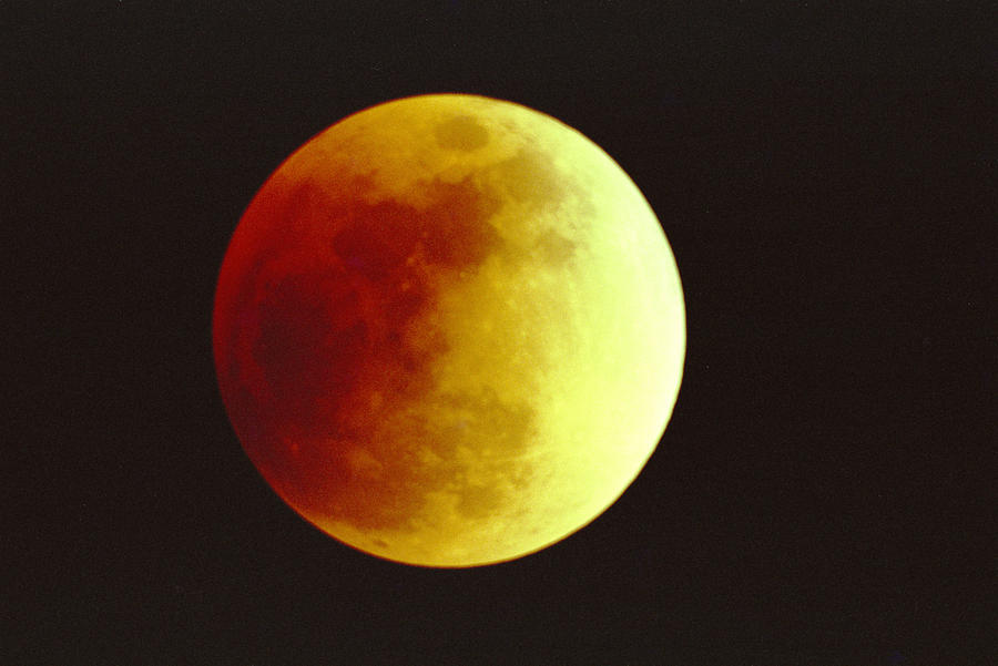 Lunar Eclipse Photograph by Alan Vance Ley
