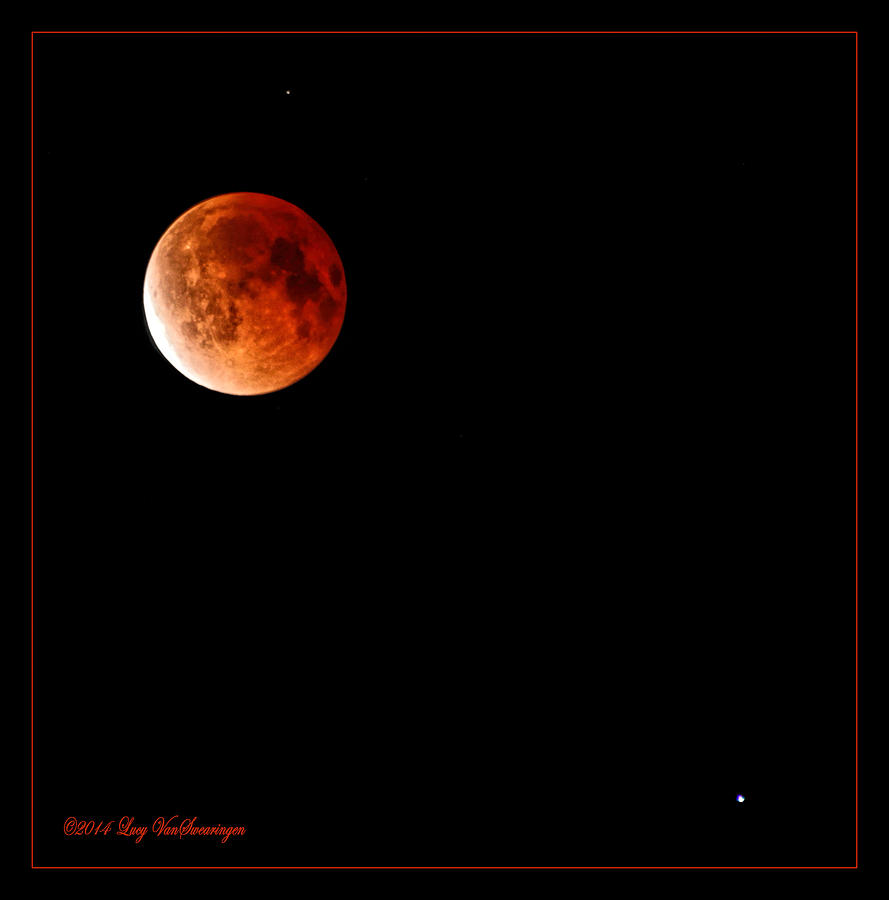 Lunar Eclipse April 15  2014 Photograph by Lucy VanSwearingen