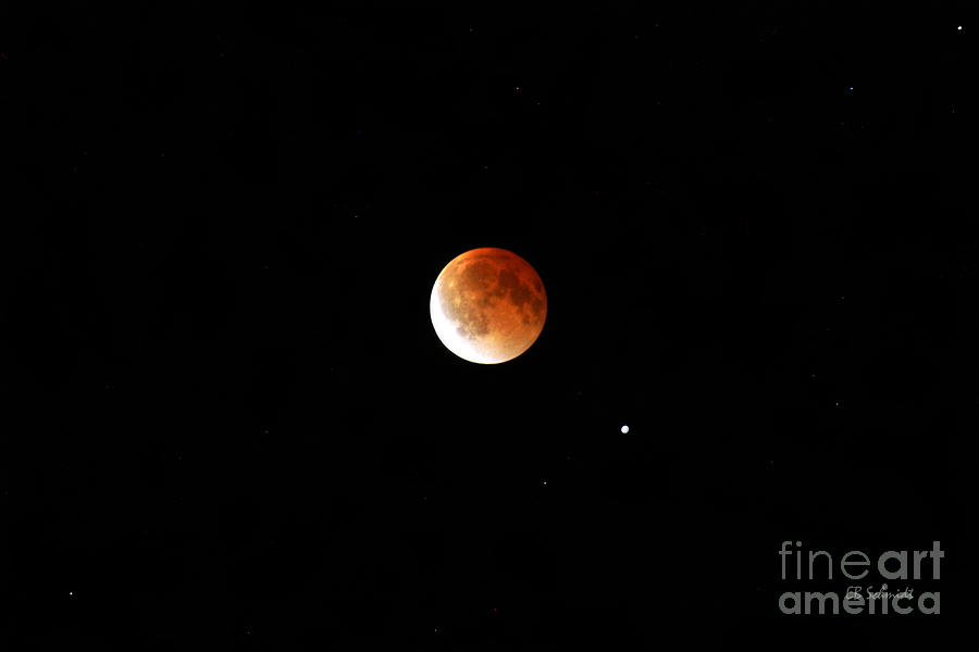 Lunar Eclipse Photograph by E B Schmidt