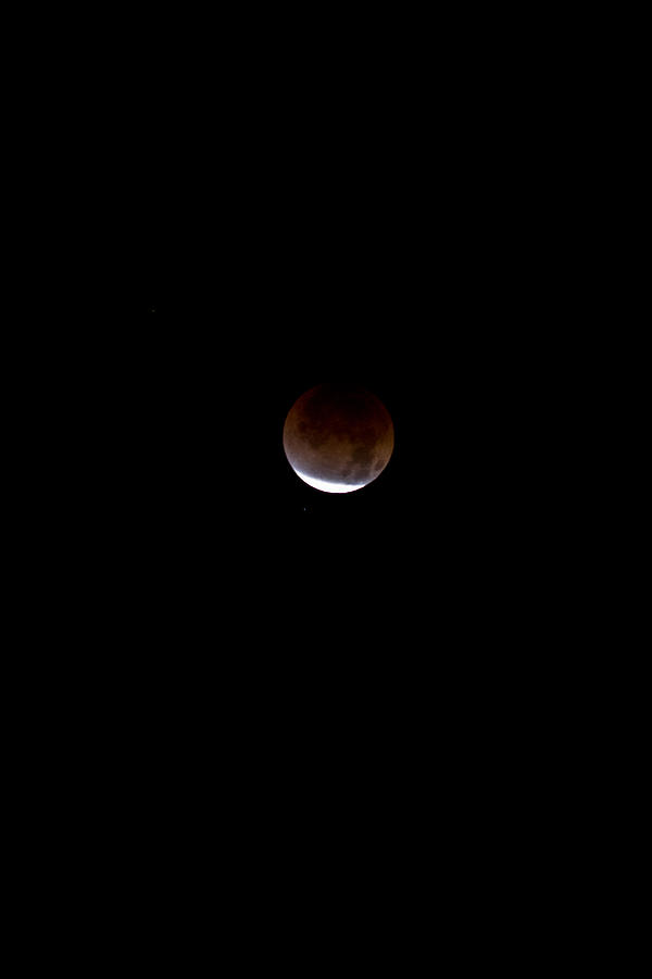 Lunar Eclipse four Photograph by Joel Loftus