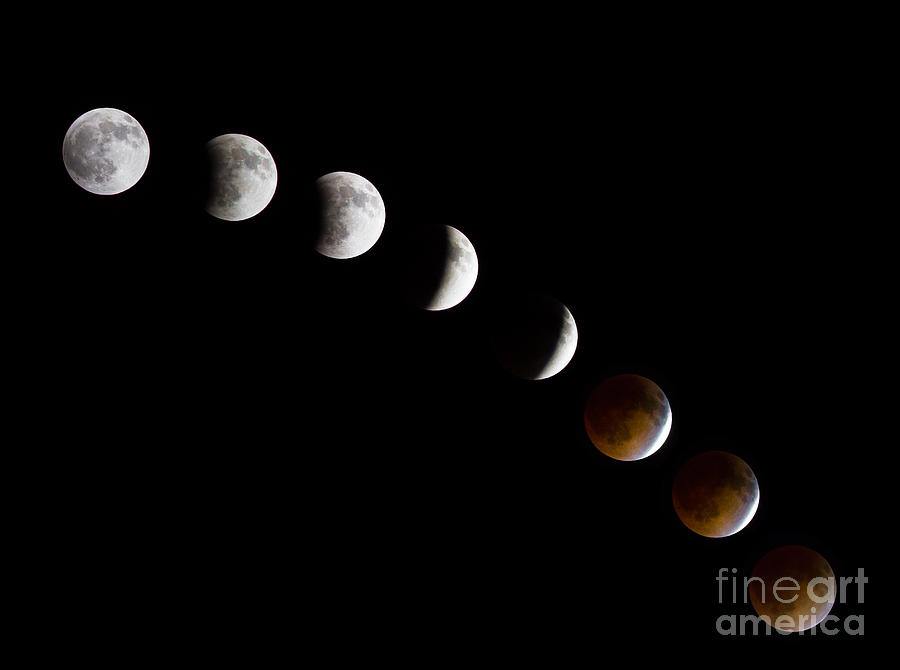 Lunar Eclipse Photograph by Inge Johnsson