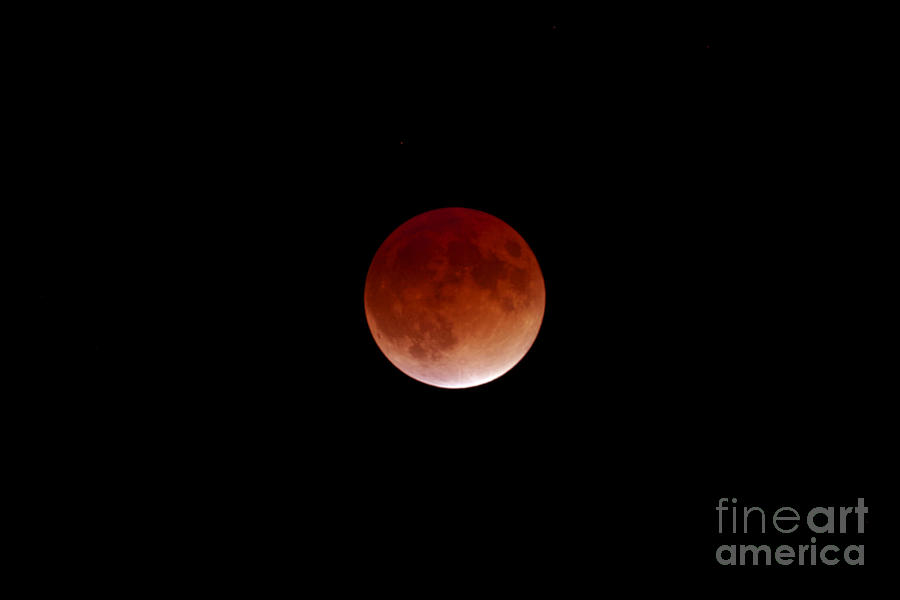 Planet Photograph - Lunar Eclipse by John Chumack