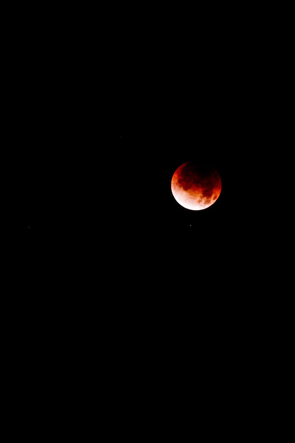 Lunar Eclipse one Photograph by Joel Loftus