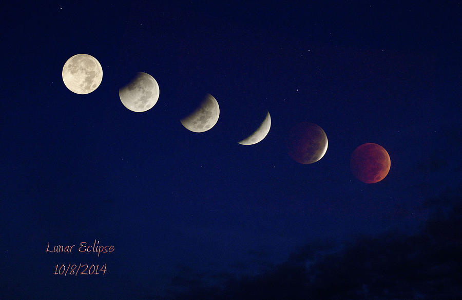 Lunar Eclipse Photograph by Robert Camp
