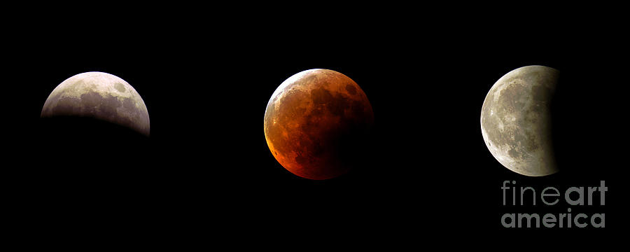 Lunar Eclipse Sequence Photograph by John Chumack