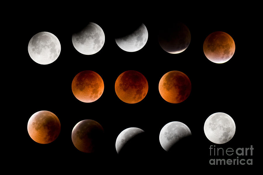 Lunar Eclipse Sequence Photograph by Sean Bagshaw