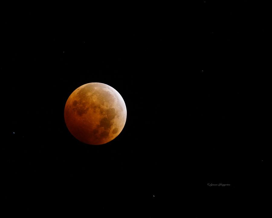 Lunar Eclipse Photograph by Steven Clipperton