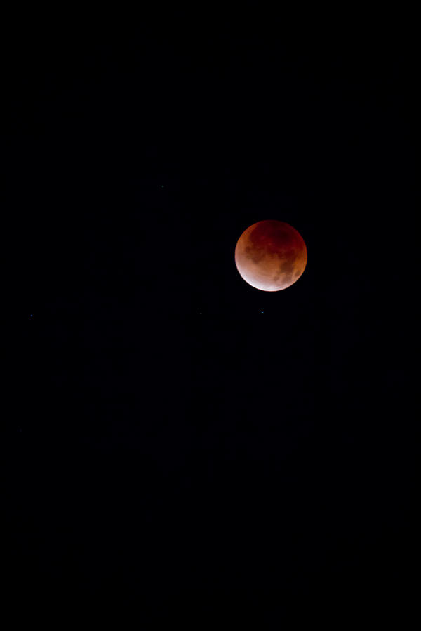 Lunar Eclipse three Photograph by Joel Loftus