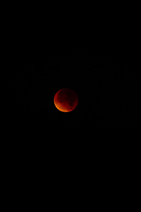 Lunar Eclipse two Photograph by Joel Loftus