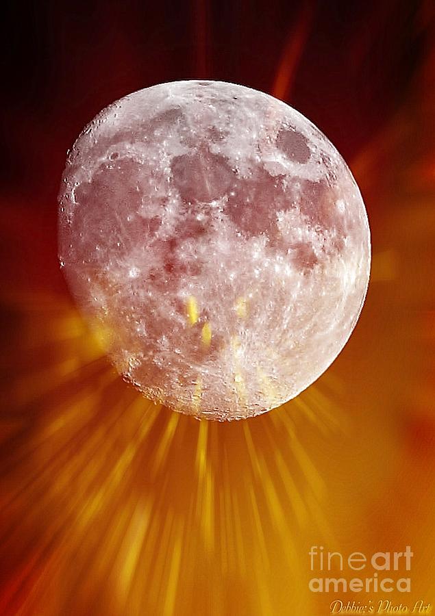 Lunar Lights Photograph by Debbie Portwood