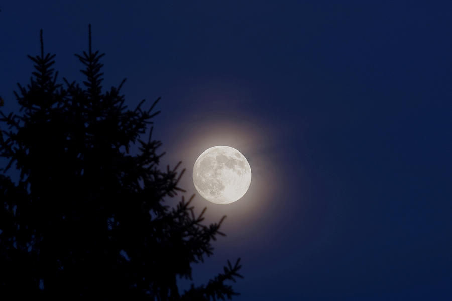 Lunar Luminance Photograph by Gene Walls