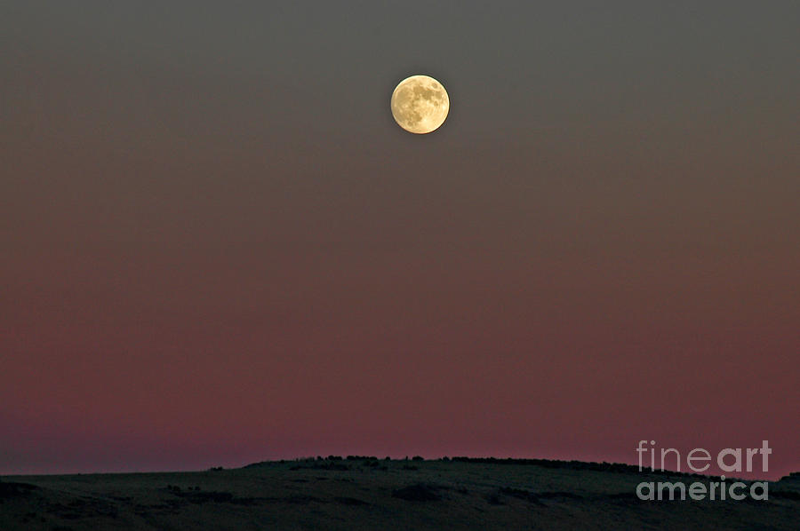 Lunar Over Indian Ridge Photograph by Nick Boren