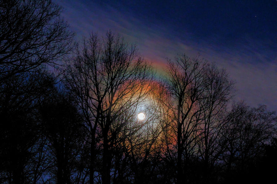 Tree Photograph - Lunar Rainbow by David M Jones