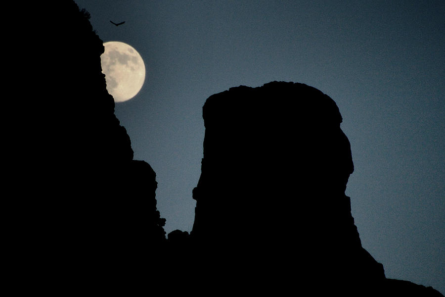 Lunar Surprise.. Photograph by Al Swasey