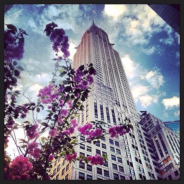 New York City Photograph - #lunchtimeviews #chrylserbuilding by Krista Feierabend