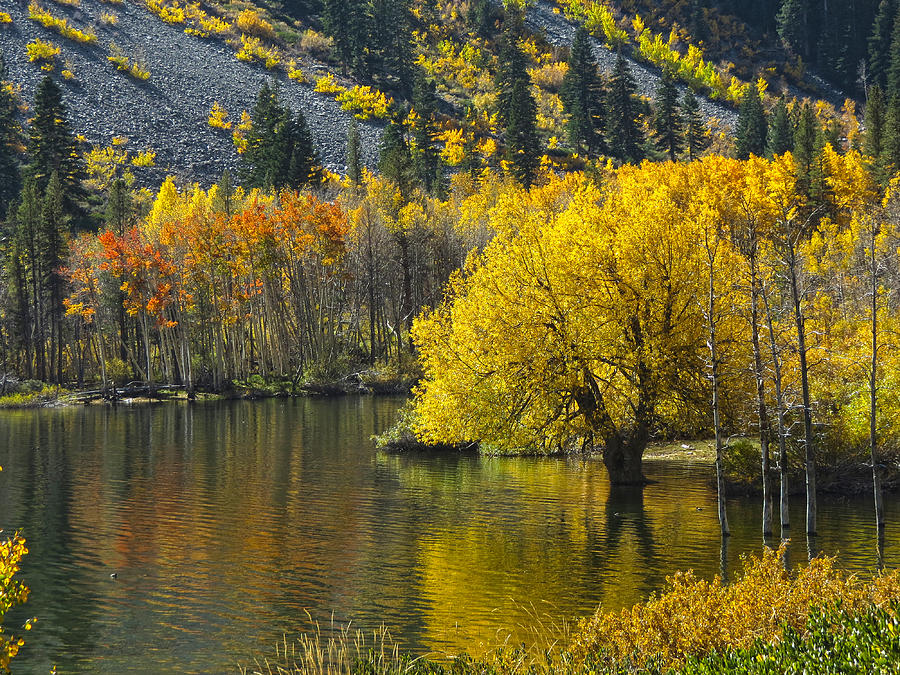 Lundy Lake in Fall Photograph by Frank Lee Hawkins