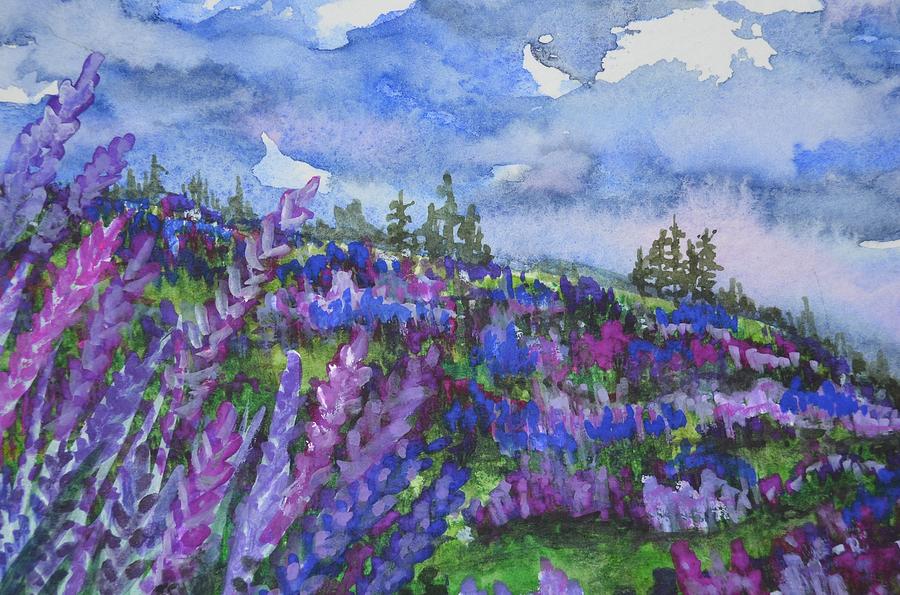 Flower Painting - Lupine Fields by Kellie Chasse