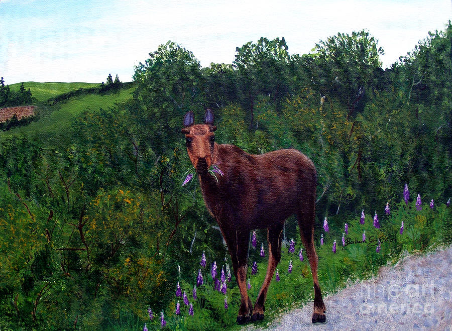 Lupine Loving Moose Painting by Barbara A Griffin