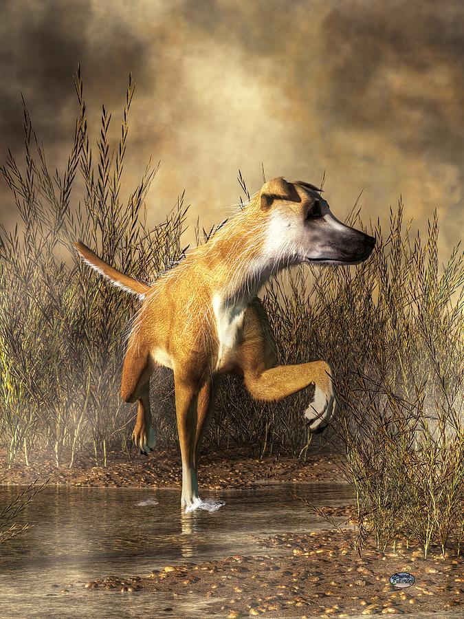 Dog Digital Art - Lurcher by Daniel Eskridge