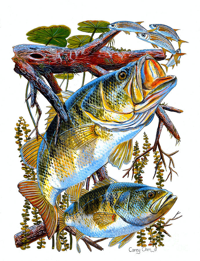 Bass Painting - Lurking Bass by Carey Chen