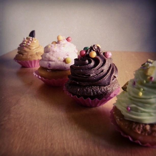 Cake Photograph - Luscious cupcakes by Barbara Orenya