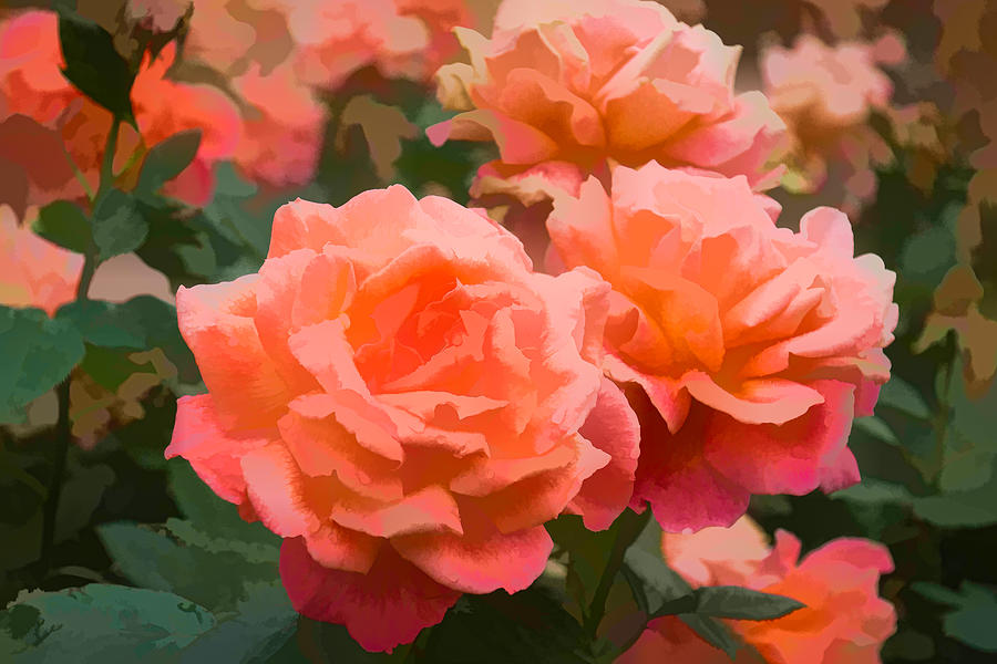 Luscious Fragrant Roses - Impressions of June Digital Art by Georgia Mizuleva