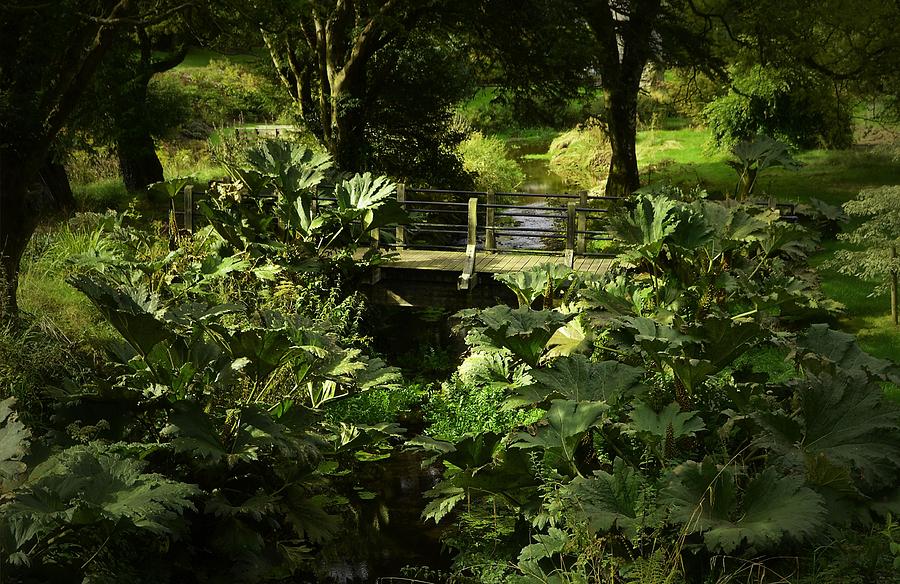 Lush Garden at Blarney Castle Photograph by Nadalyn Larsen