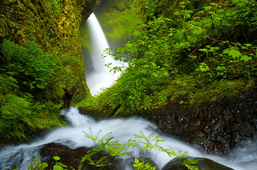 Waterfall Photograph - Lush Gorge Falls by Darren White