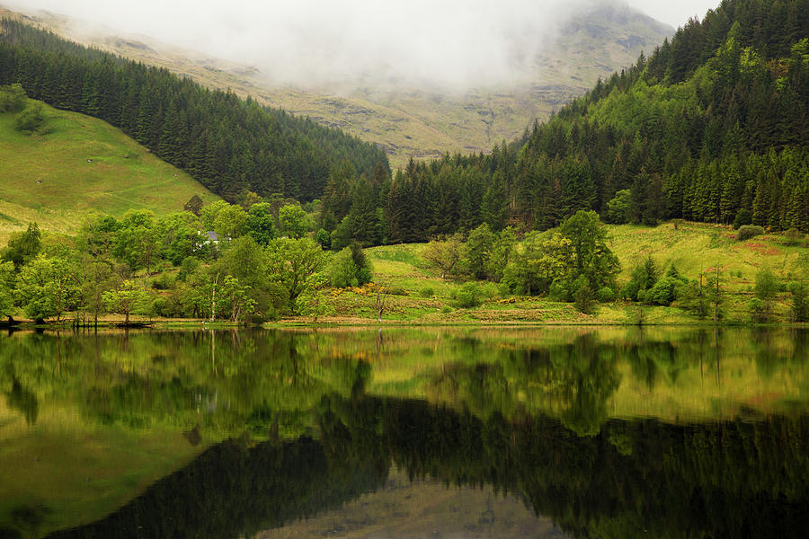 Lush Green Landscape With Grass, Trees Photograph by John Short