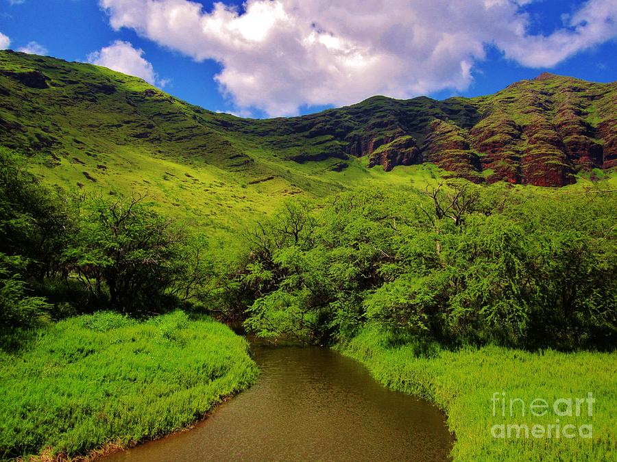 Landscape Photograph - Lush Green Makaha by Craig Wood