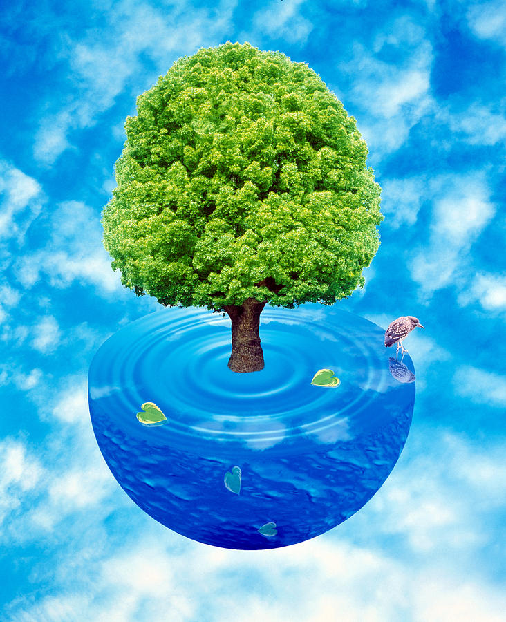 Fantasy Photograph - Lush Green Tree Growing From Half by Panoramic Images