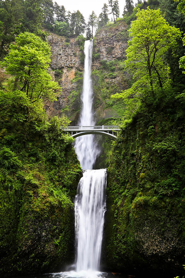 Lush Green Multnomah Falls Waterfall Photograph