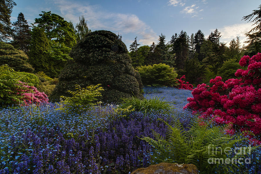 Kubota Garden Photograph - Lush Kubota Spring Landscape by Mike Reid