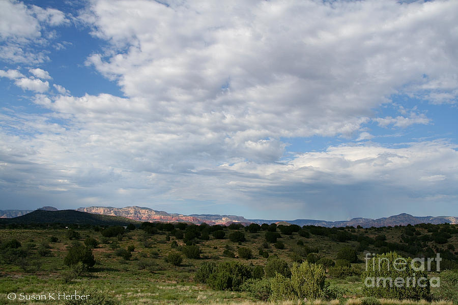 Lush Southwest Photograph by Susan Herber