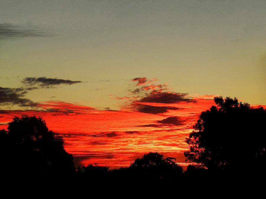 Lush Sunset Photograph by Mark Blauhoefer - Fine Art America