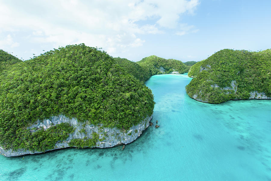 Lush Tropical Rock Islands From Above Photograph by Ippei Naoi