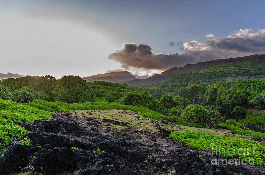 Lush tropical valley on the Road to Hana Maui Hawaii USA Photograph by Don Landwehrle