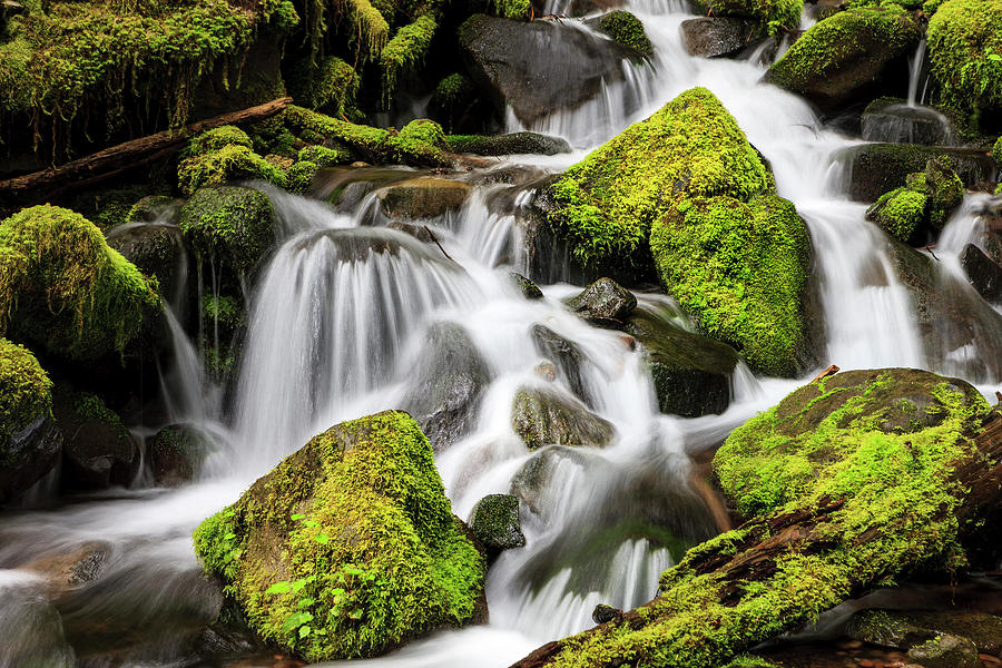 Lush Waterfall Olympic National Park Photograph by Tom Norring - Fine ...