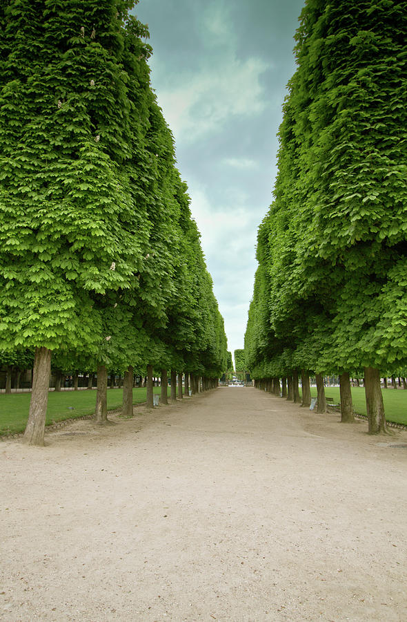Luxembourg Garden Photograph by Marzo . Photography