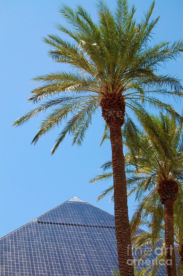 Luxor Pyramid and Palm Trees Photograph by Debra Thompson
